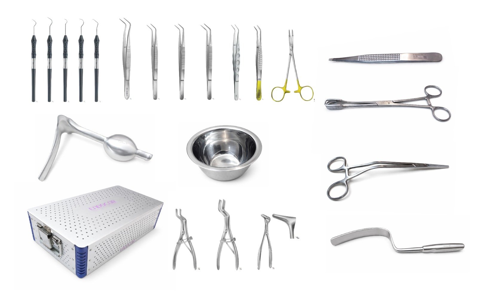 Endocor Surgical - Pioneering Innovation for Life
